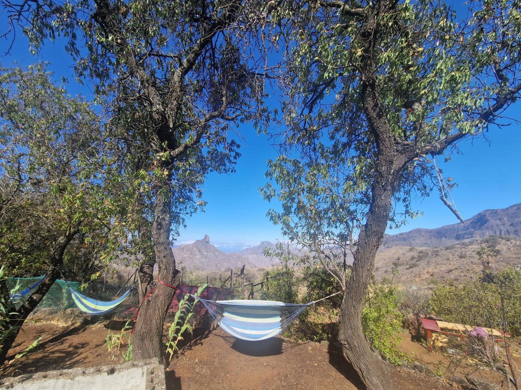 Finca La Isa By Rose Casas Rural Техеда Екстериор снимка